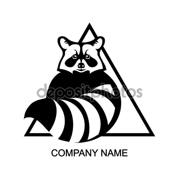 Енот Векторная Графика