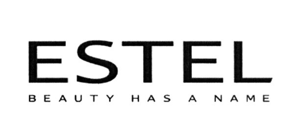 Логотип компании Эстель