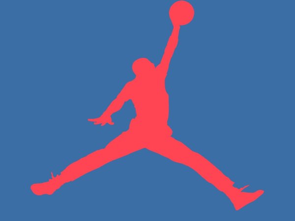Nike Air Jordan Jumpman 23