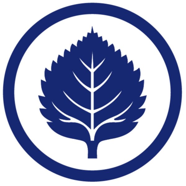 РСМ эмблема