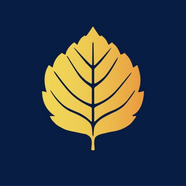 Российский Союз молодежи Общероссийская общественная организация