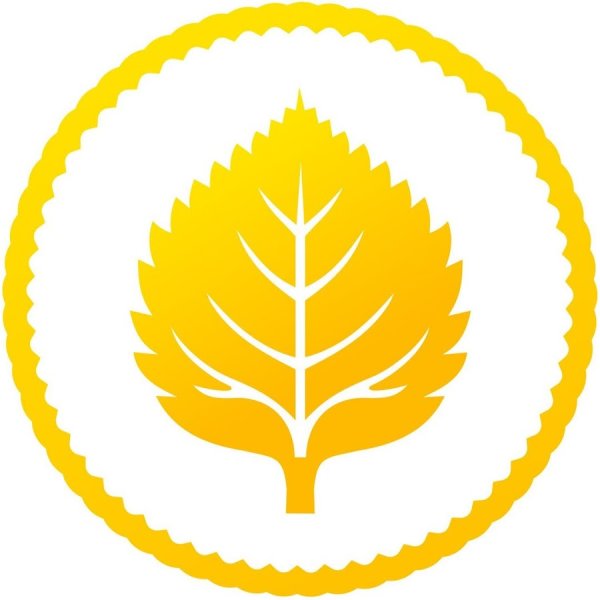 РСМ логотип лист