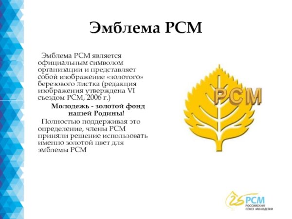 РСМ картинка