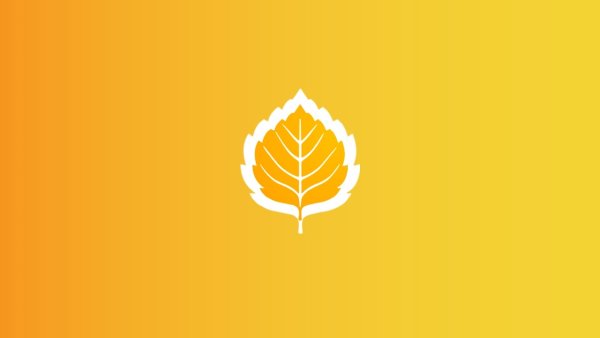 РСМ российский Союз молодежи