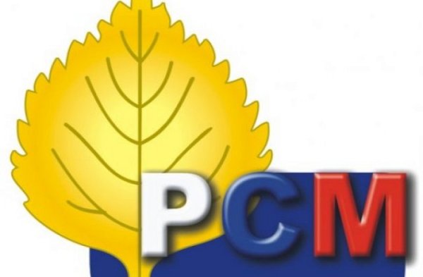 РСМ российский Союз молодежи