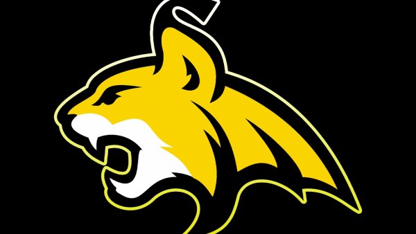 Хк Северсталь Рысь