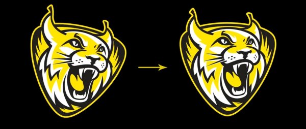 Рысь Сева хк Северсталь