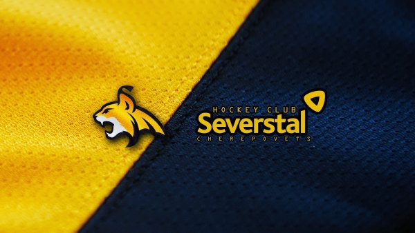 Северсталь логотип новый