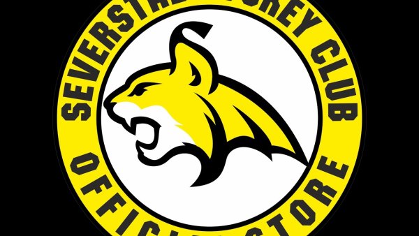 Северсталь хоккейный клуб логотип