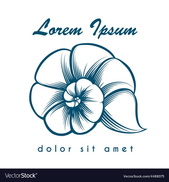 Ракушка лого