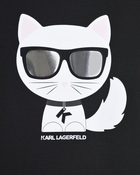 Марка Карл Лагерфельд