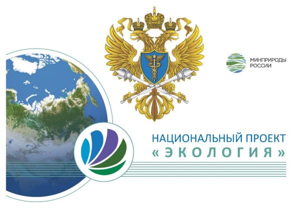 Национальный проект экология 2019-2024