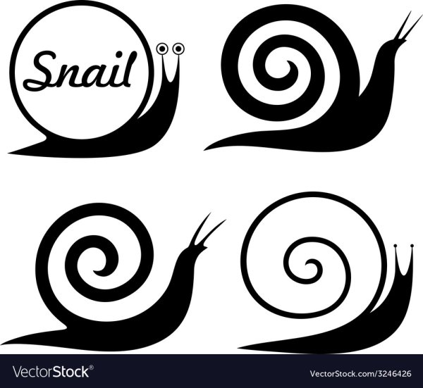 Стилизация улитки