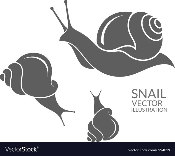 Логотип в виде улитки