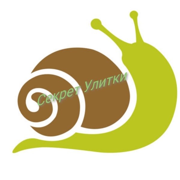 Улитка логотип