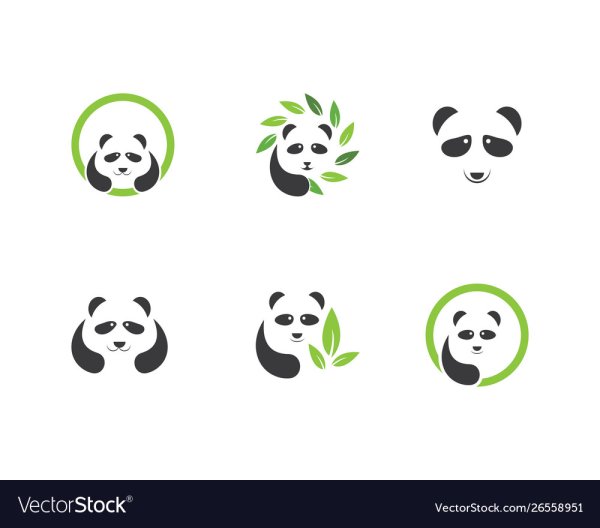 Панда врач вектор эмблема
