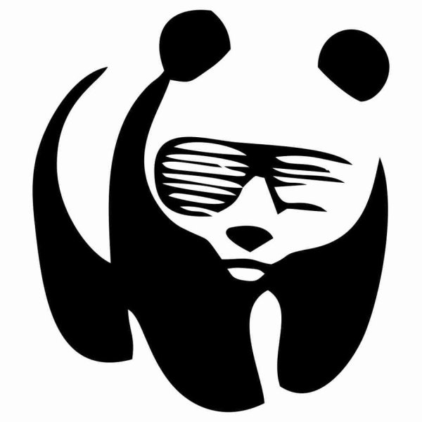Панда в очках