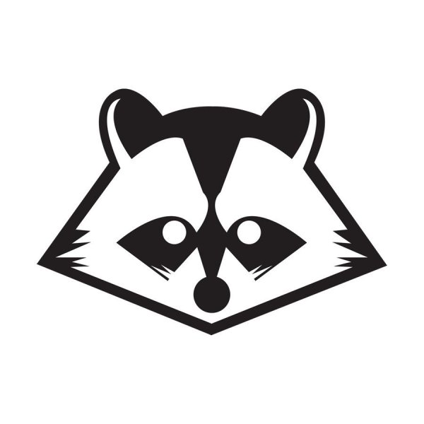 Морда енота