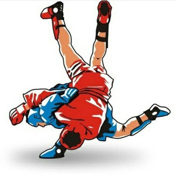 Самбо иллюстрация