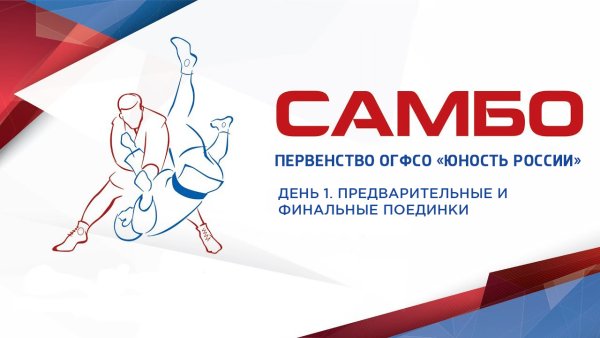 Баннер самбо