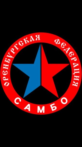Всероссийская Федерация самбо логотип