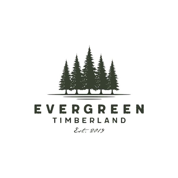 Дерево кедр логотип