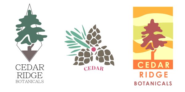 Логотип Лесной компании кедр