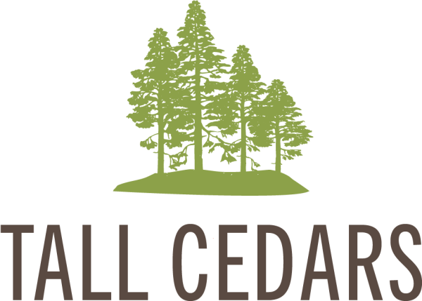 Кедр логотип