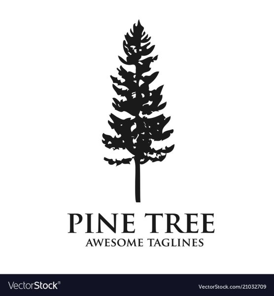 Логотип дерево сосна