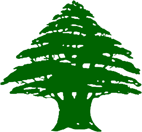 Кедр символ Ливана