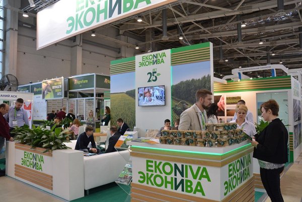 ЭКОНИВА молоко цельное