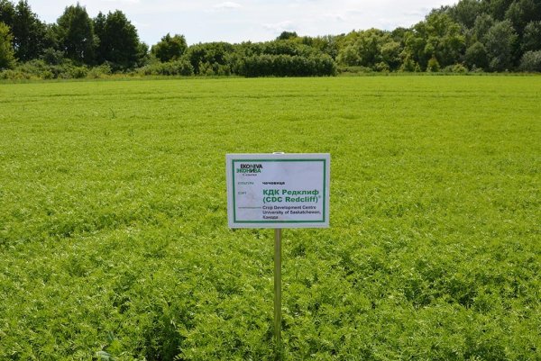 ЭКОНИВА семена ООО логотип