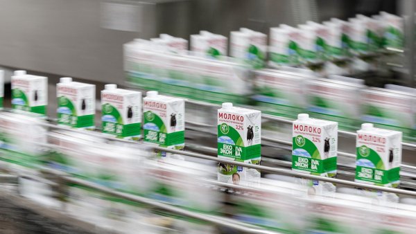 Хк ЭКОНИВА Бобров лого