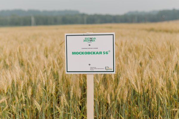 ЭКОНИВА карта