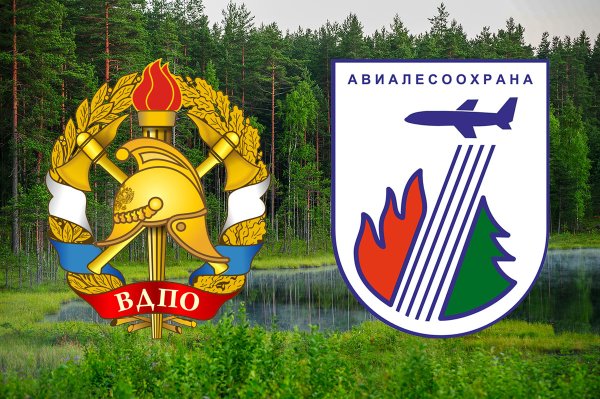 Эмблема Авиалесоохраны России