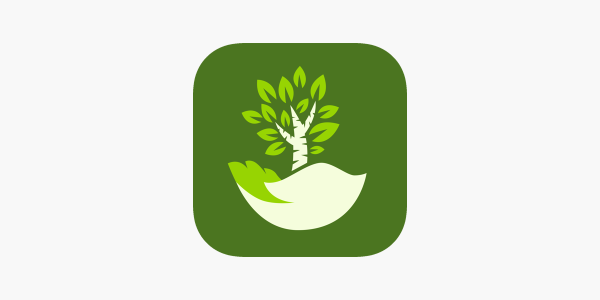 Значок Авиалесоохрана