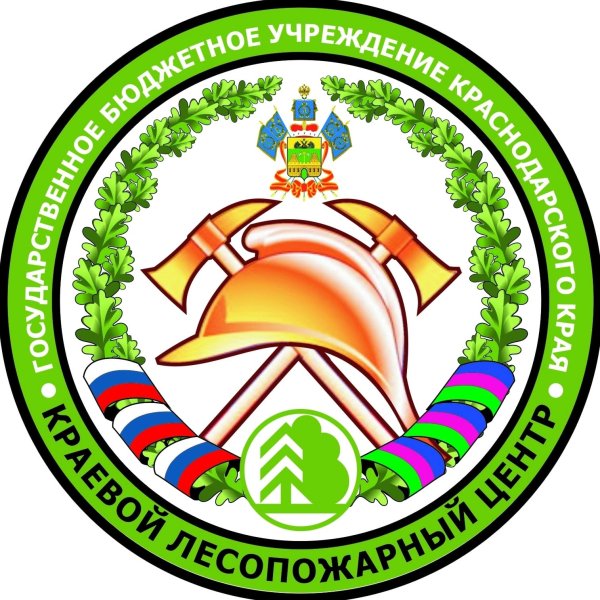 Авиалесоохрана логотип