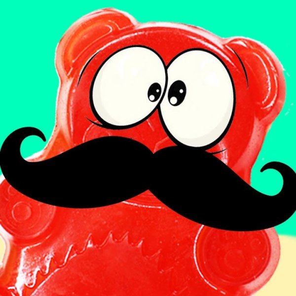 ЖЕЛЕЙНЫЙ медведьвалнра