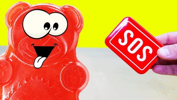 Медведь Валера Познаватель