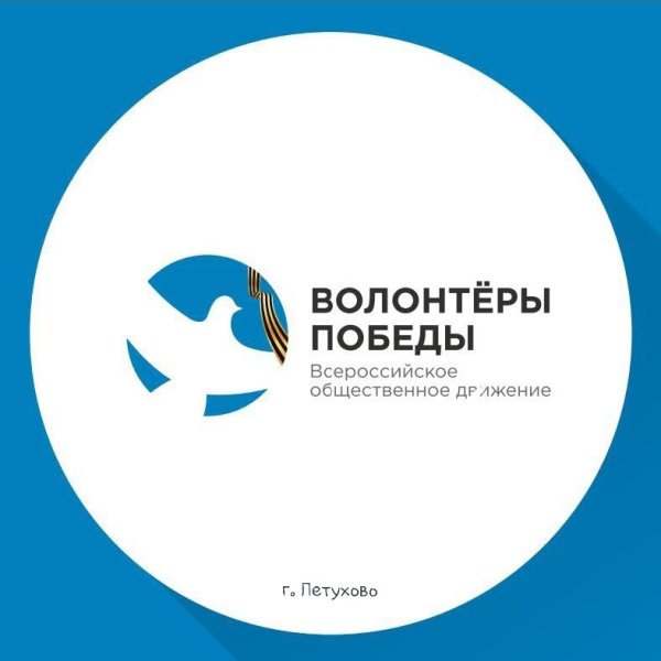 Волонтеры Победы