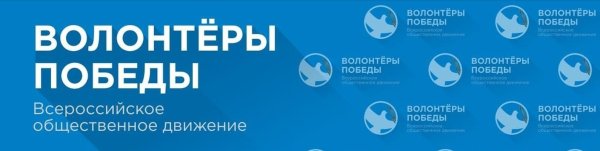 Направления волонтеров Победы