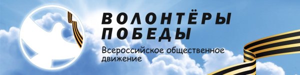 Футболка брендированная волонтер