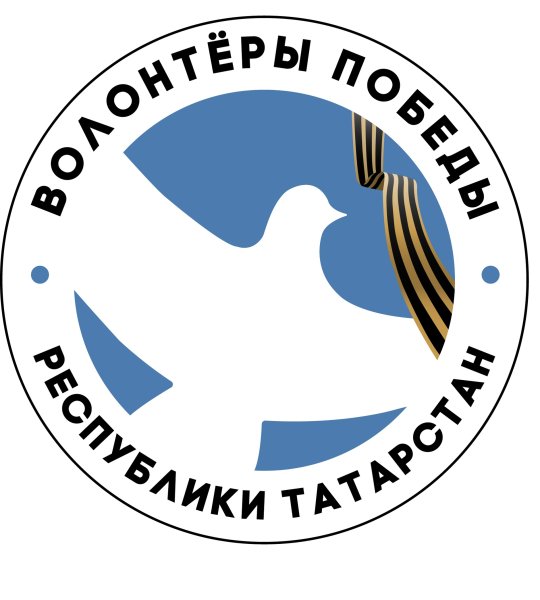 Символ волонтеры Победы