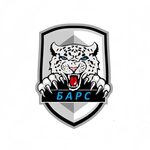 Снежный Барс эмблема