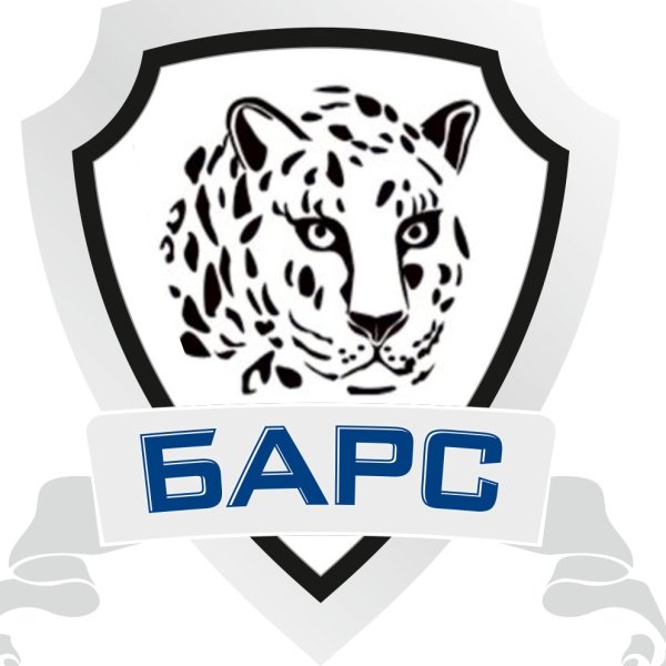 Барс логотип