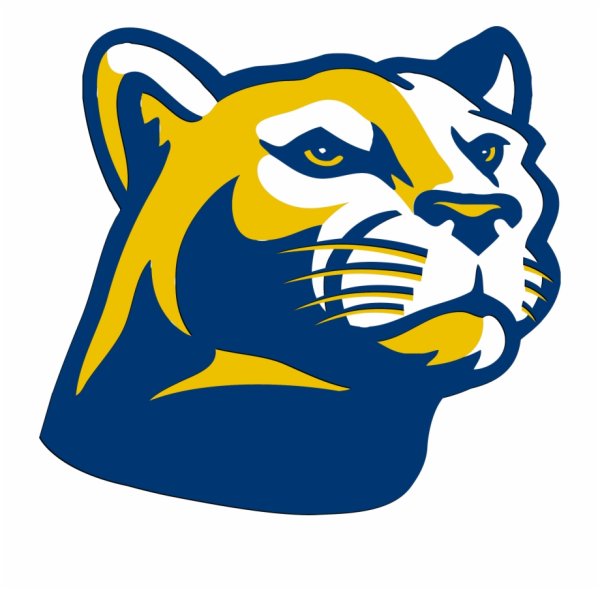 Голова Барса для логотипа