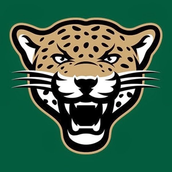 Гепард логотип