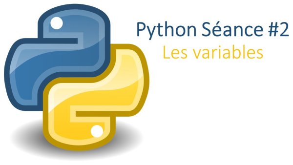 Python язык программирования логотип