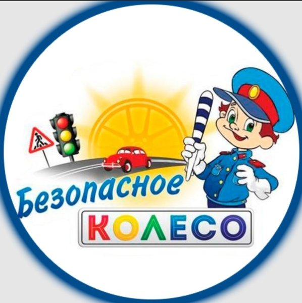 Медали по ПДД