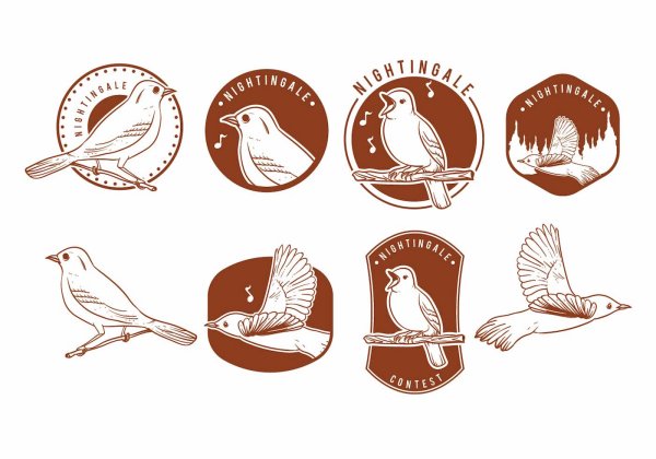 Логотип птица